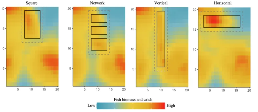 No One Size Fits All To Effectively Protect Fish Populations In Marine Protected Areas In The 